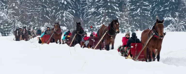 Zakopane - oficjalny Organizator - kuligi w Zakopanem - Kulig Zakopane